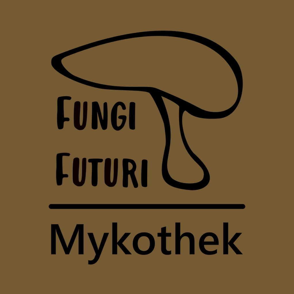 Myktohek