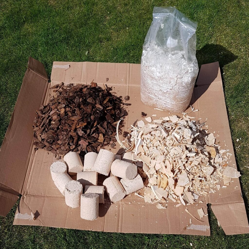Pilzbeet im Garten anlegen