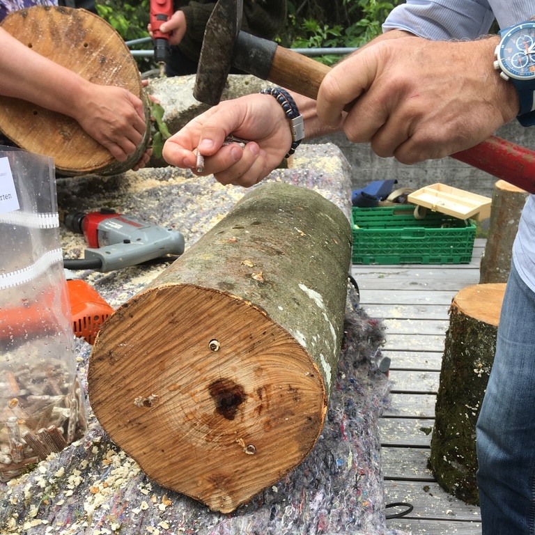 Pilzkurse und Exkursionen